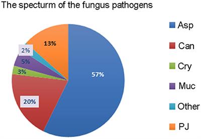 Epidemiology and Prognosis of Invasive Fungal Disease in Chinese Lung Transplant Recipients